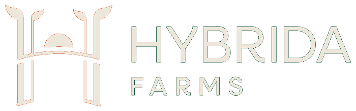 Hybrida Farms