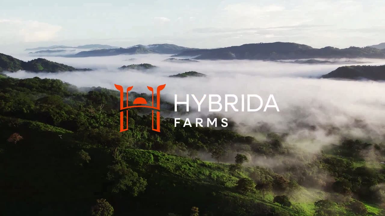 Hybrida Farms, cultivation film